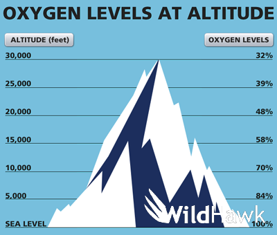 Oxygen Levels at Altitude
