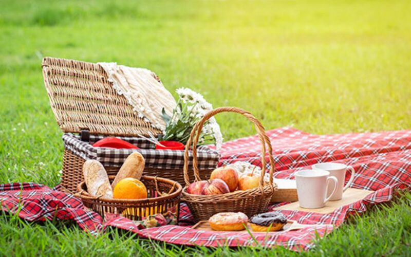 Picnic Spot Near Delhi