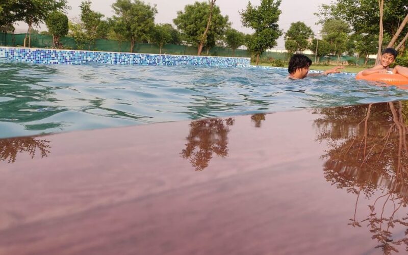 Swimming Pool at WildHawk